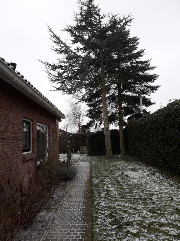 Zomerhuis De Zeedistel Egmond aan den Hoef Exteriör bild